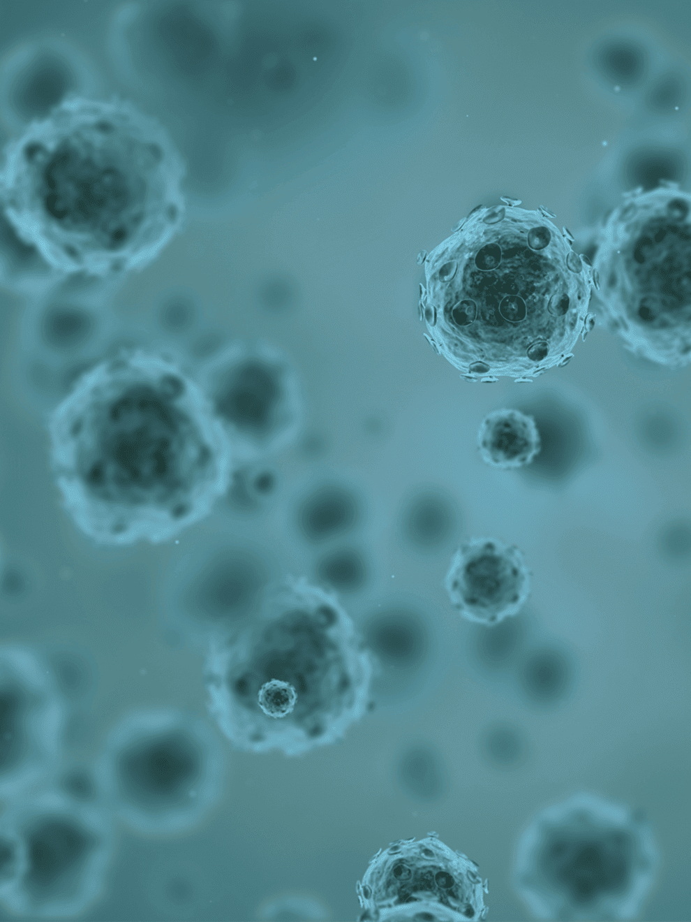 virus