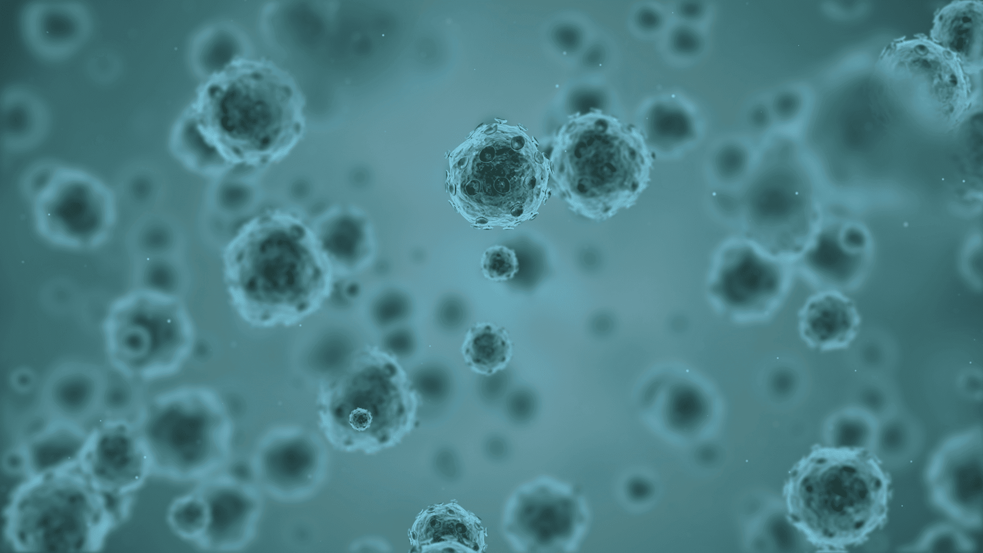 virus