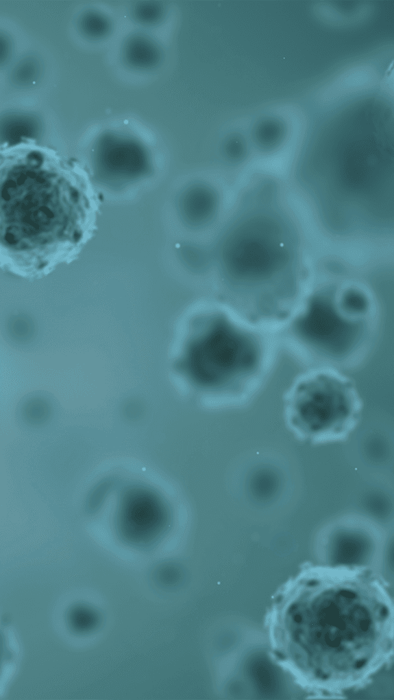 virus